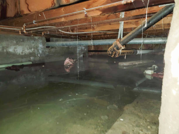 Best Water damage restoration near me  in Pittsburg, KS