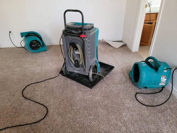Best Carpet water damage restoration  in Pittsburg, KS
