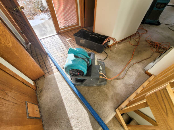 Best Fire Damage Restoration  in Pittsburg, KS