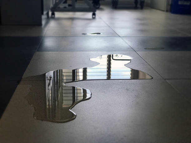 Best Water damage contractors near me  in Pittsburg, KS