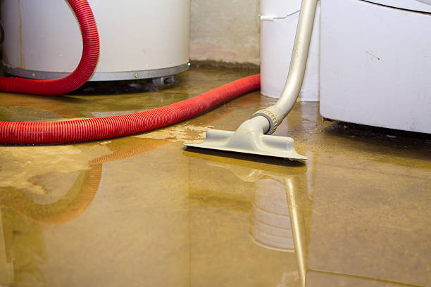 Best Ceiling water damage repair  in Pittsburg, KS