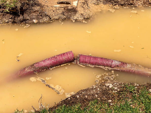 Water damage restoration experts in KS