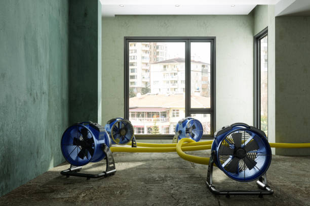 Best Water damage restoration experts  in Pittsburg, KS
